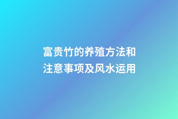 富贵竹的养殖方法和注意事项及风水运用