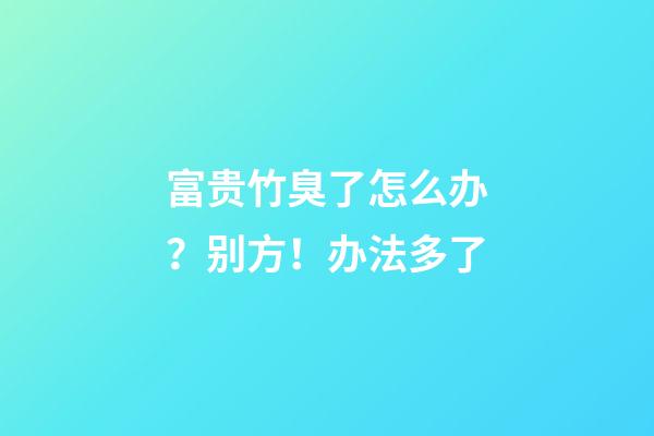富贵竹臭了怎么办？别方！办法多了