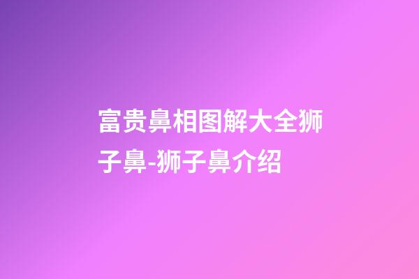 富贵鼻相图解大全狮子鼻-狮子鼻介绍