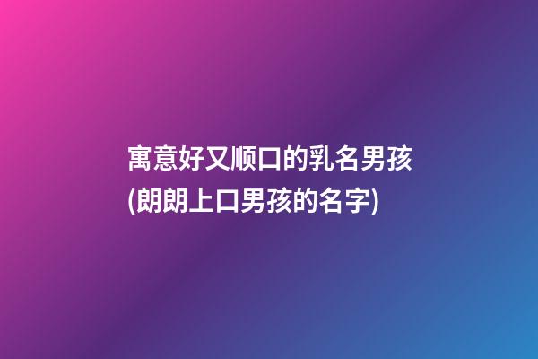 寓意好又顺口的乳名男孩(朗朗上口男孩的名字)