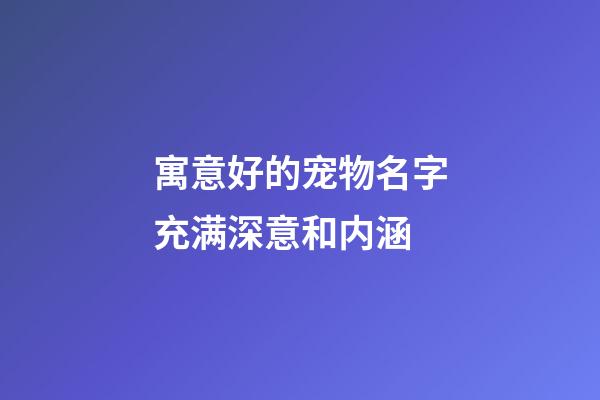 寓意好的宠物名字充满深意和内涵