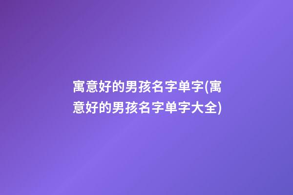 寓意好的男孩名字单字(寓意好的男孩名字单字大全)