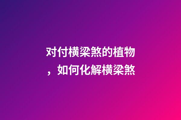 对付横梁煞的植物，如何化解横梁煞