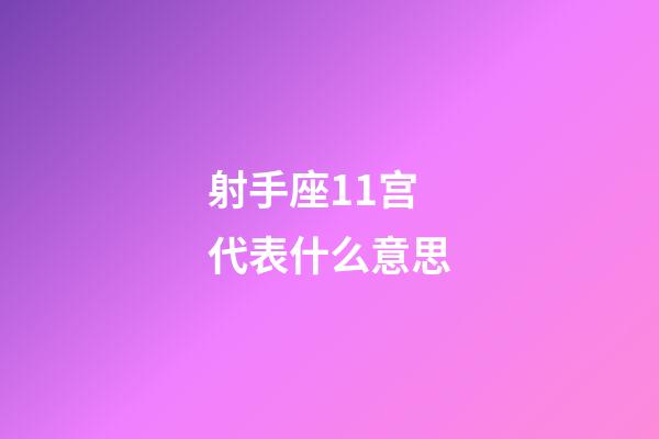 射手座11宫代表什么意思-第1张-星座运势-玄机派