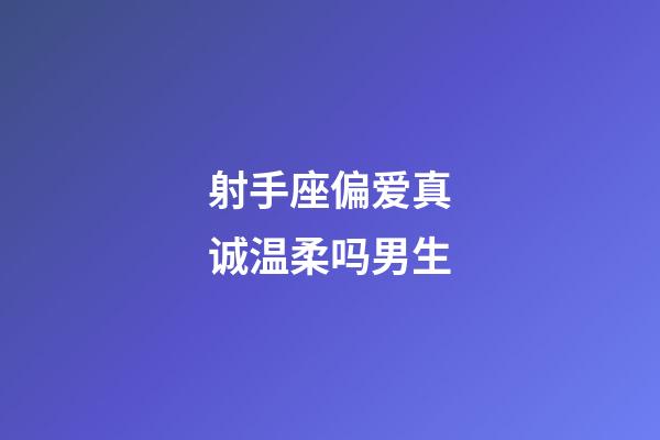 射手座偏爱真诚温柔吗男生-第1张-星座运势-玄机派