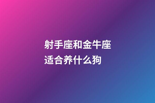 射手座和金牛座适合养什么狗-第1张-星座运势-玄机派
