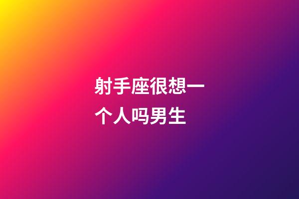 射手座很想一个人吗男生-第1张-星座运势-玄机派