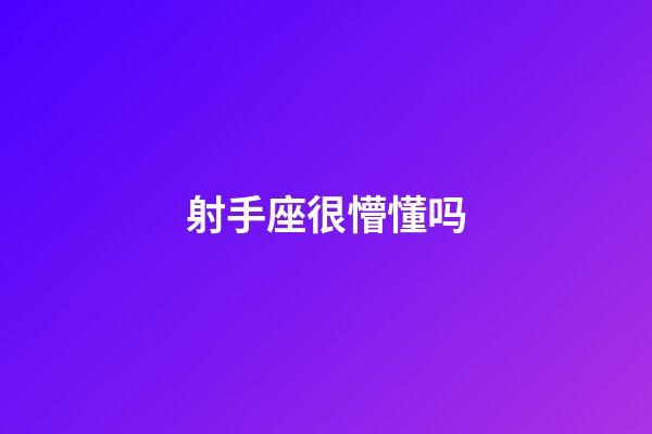 射手座很懵懂吗-第1张-星座运势-玄机派