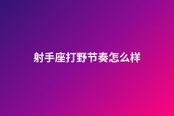 射手座打野节奏怎么样-第1张-星座运势-玄机派