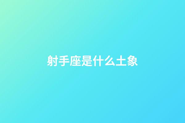 射手座是什么土象-第1张-星座运势-玄机派