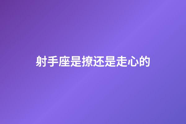 射手座是撩还是走心的-第1张-星座运势-玄机派