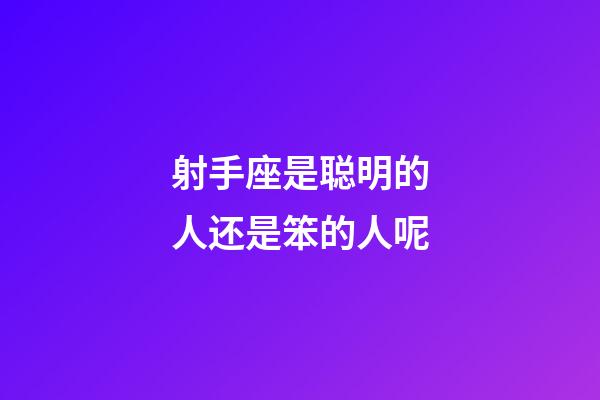 射手座是聪明的人还是笨的人呢-第1张-星座运势-玄机派