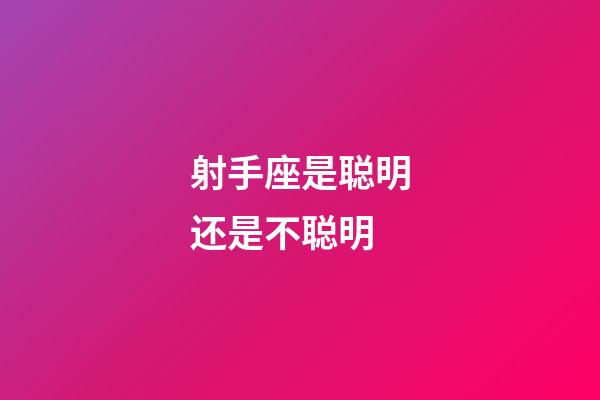 射手座是聪明还是不聪明