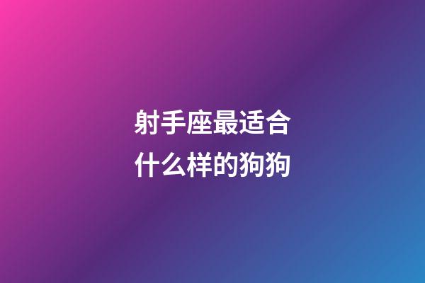 射手座最适合什么样的狗狗-第1张-星座运势-玄机派