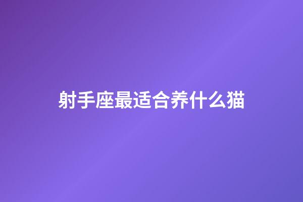 射手座最适合养什么猫-第1张-星座运势-玄机派