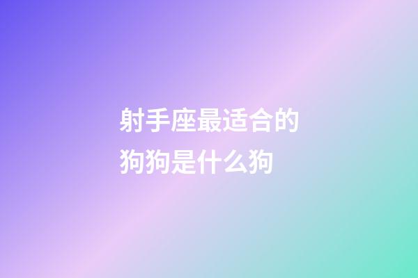 射手座最适合的狗狗是什么狗-第1张-星座运势-玄机派