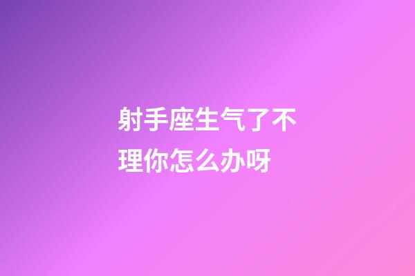 射手座生气了不理你怎么办呀-第1张-星座运势-玄机派