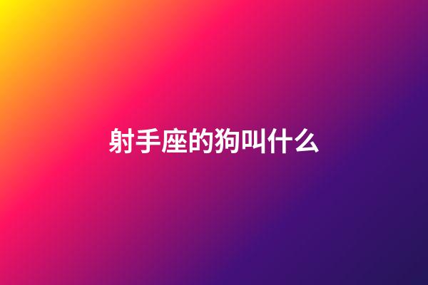 射手座的狗叫什么-第1张-星座运势-玄机派