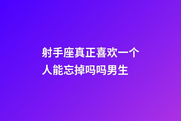 射手座真正喜欢一个人能忘掉吗吗男生-第1张-星座运势-玄机派