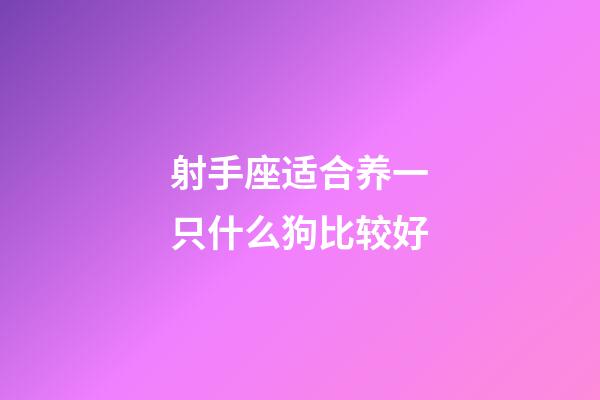 射手座适合养一只什么狗比较好-第1张-星座运势-玄机派