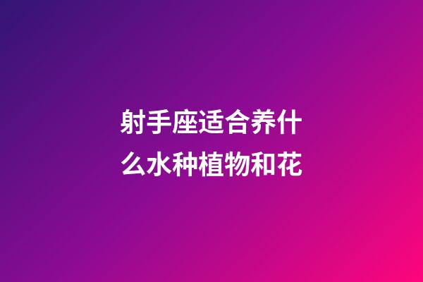 射手座适合养什么水种植物和花-第1张-星座运势-玄机派