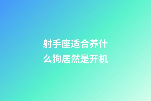 射手座适合养什么狗居然是开机-第1张-星座运势-玄机派