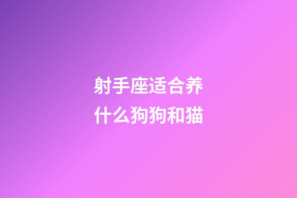 射手座适合养什么狗狗和猫-第1张-星座运势-玄机派