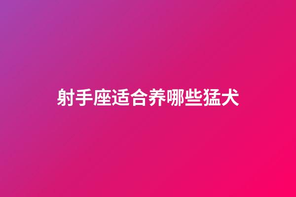 射手座适合养哪些猛犬-第1张-星座运势-玄机派