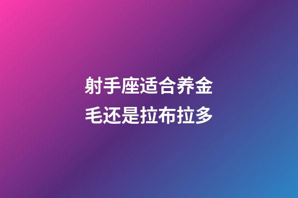 射手座适合养金毛还是拉布拉多-第1张-星座运势-玄机派