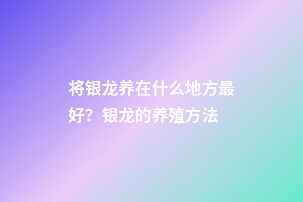 将银龙养在什么地方最好？银龙的养殖方法