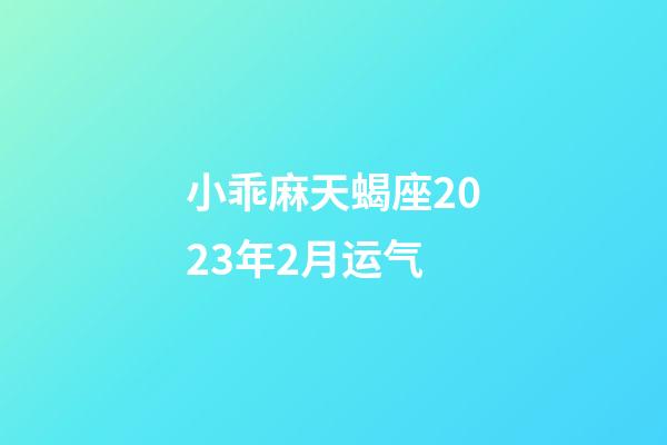 小乖麻天蝎座2023年2月运气