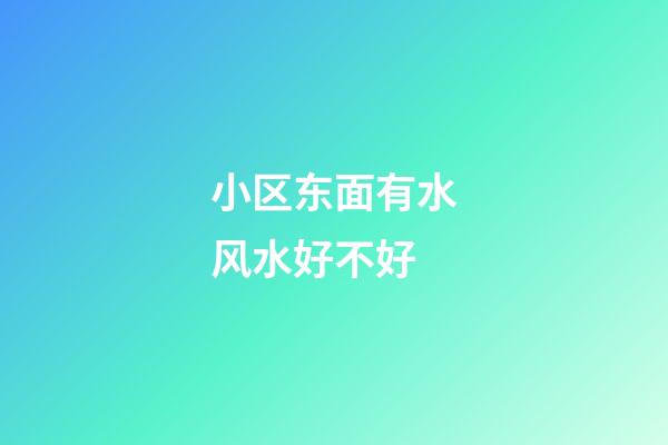 小区东面有水风水好不好