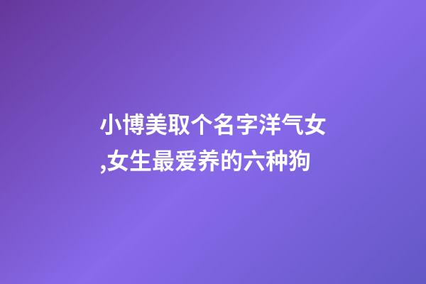 小博美取个名字洋气女,女生最爱养的六种狗-第1张-观点-玄机派