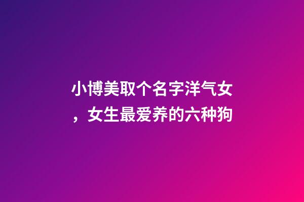 小博美取个名字洋气女，女生最爱养的六种狗-第1张-观点-玄机派