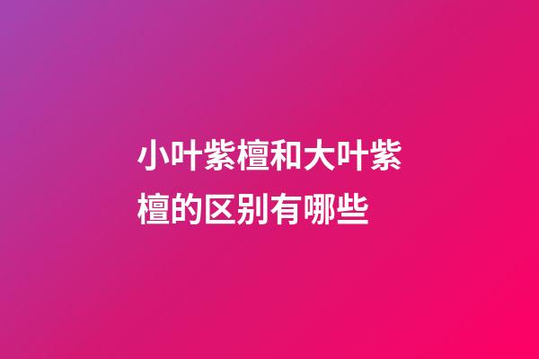 小叶紫檀和大叶紫檀的区别有哪些