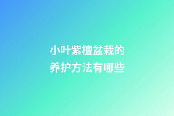 小叶紫檀盆栽的养护方法有哪些