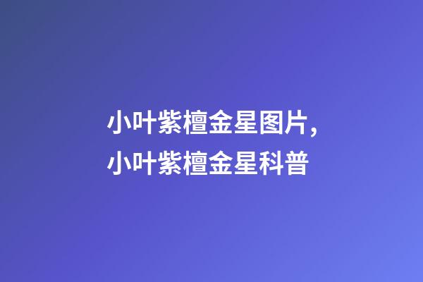 小叶紫檀金星图片,小叶紫檀金星科普-第1张-观点-玄机派