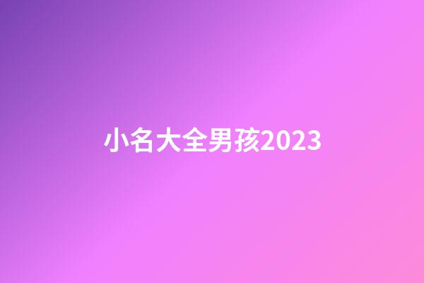 小名大全男孩2023