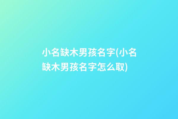 小名缺木男孩名字(小名缺木男孩名字怎么取)