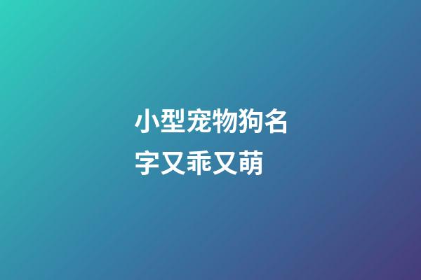 小型宠物狗名字又乖又萌
