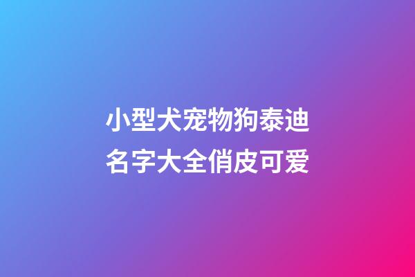 小型犬宠物狗泰迪名字大全俏皮可爱