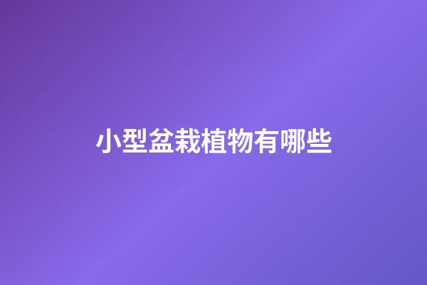 小型盆栽植物有哪些