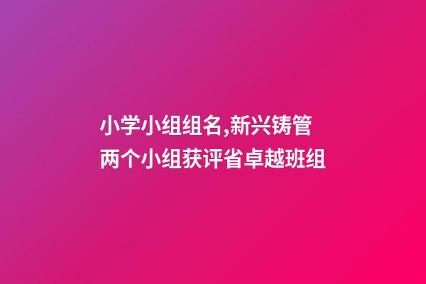小学小组组名,新兴铸管两个小组获评省卓越班组-第1张-观点-玄机派