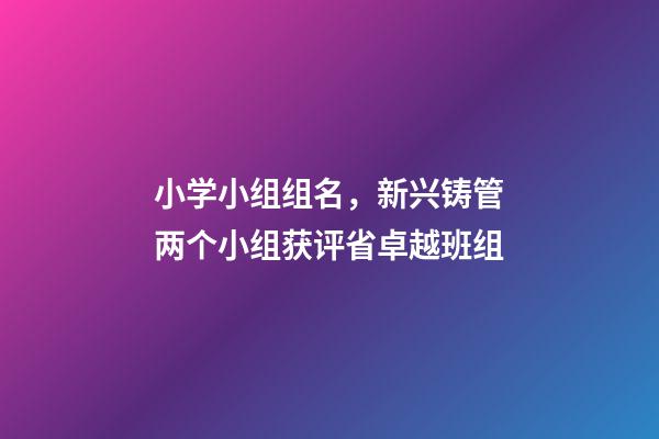 小学小组组名，新兴铸管两个小组获评省卓越班组-第1张-观点-玄机派