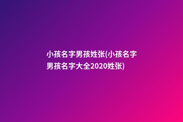小孩名字男孩姓张(小孩名字男孩名字大全2020姓张)