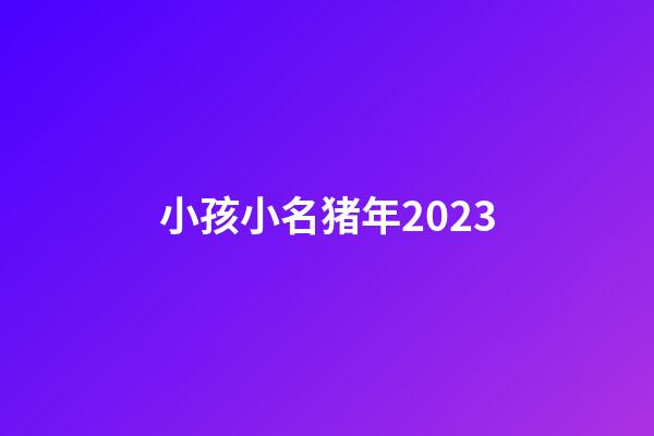 小孩小名猪年2023