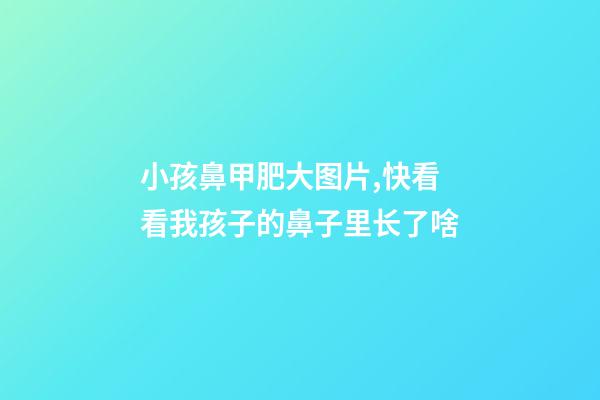 小孩鼻甲肥大图片,快看看我孩子的鼻子里长了啥-第1张-观点-玄机派