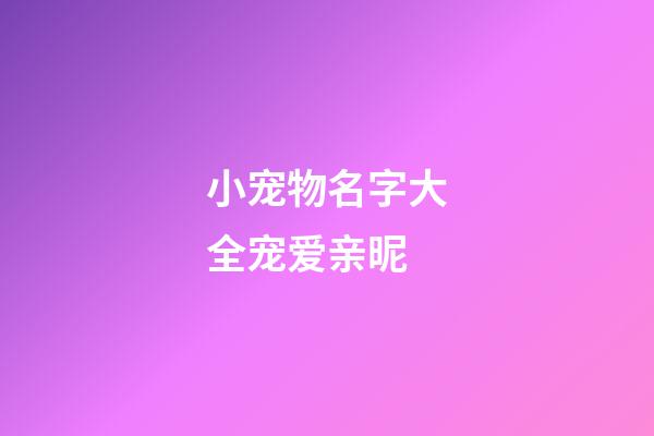 小宠物名字大全宠爱亲昵