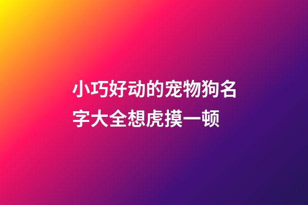 小巧好动的宠物狗名字大全想虎摸一顿