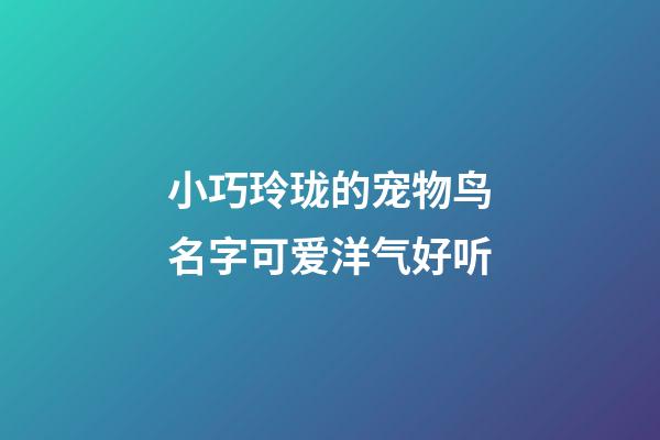 小巧玲珑的宠物鸟名字可爱洋气好听
